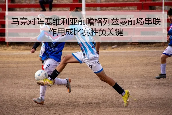 img_1784036333451_393_1_293.jpg